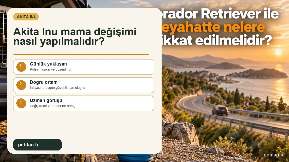 Akita Inu mama değişimi nasıl yapılmalıdır?