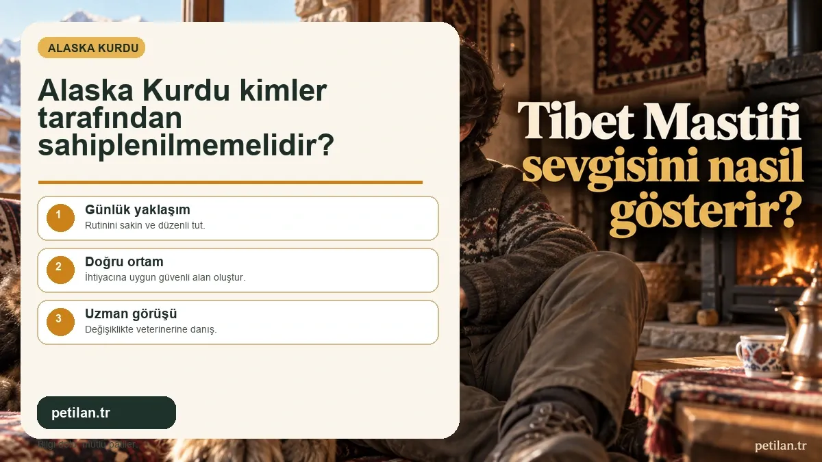 Alaska Kurdu kimler tarafından sahiplenilmemelidir?