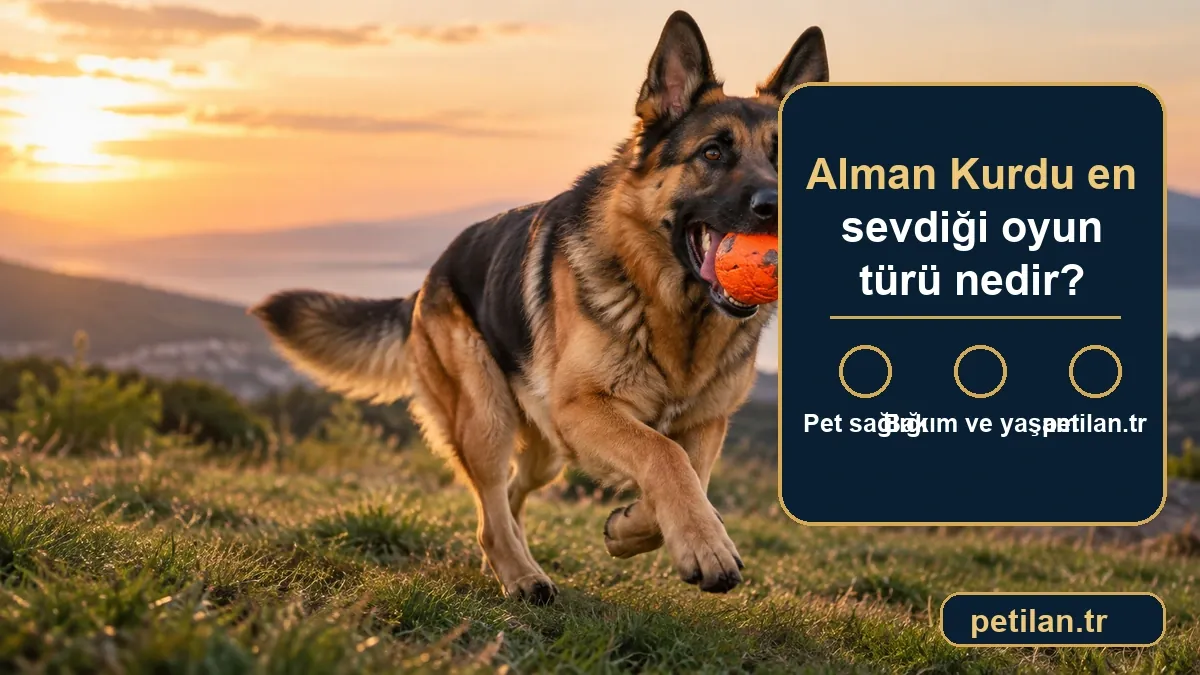 Alman Kurdu en sevdiği oyun türü nedir?