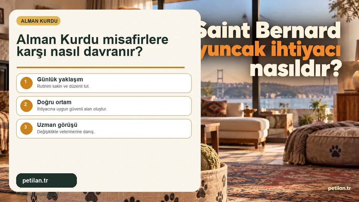 Alman Kurdu misafirlere karşı nasıl davranır?