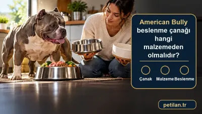 American Bully beslenme çanağı hangi malzemeden olmalıdır?