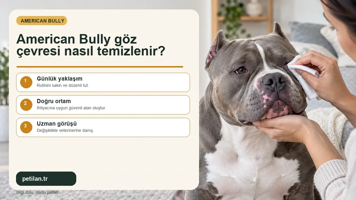 American Bully göz çevresi nasıl temizlenir?
