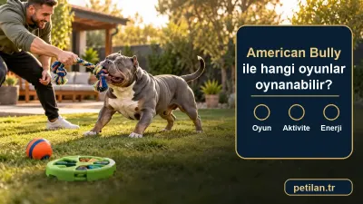 American Bully ile hangi oyunlar oynanabilir?
