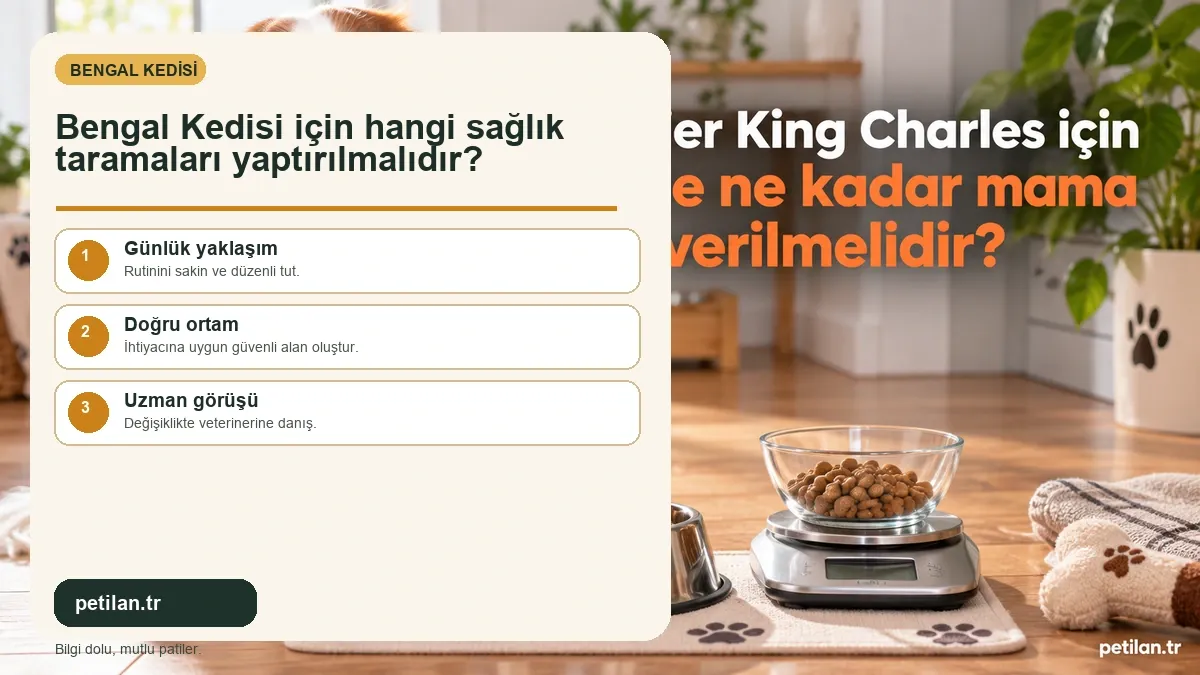 Bengal Kedisi için hangi sağlık taramaları yaptırılmalıdır?