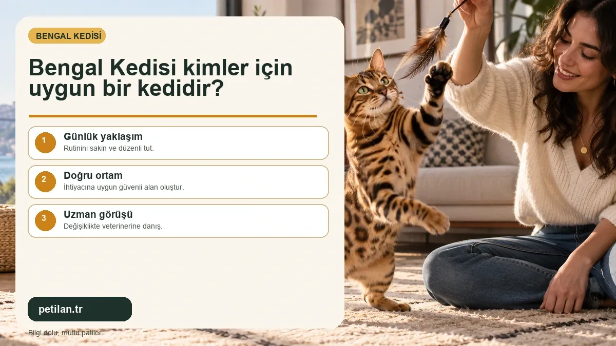 Bengal Kedisi kimler için uygun bir kedidir?