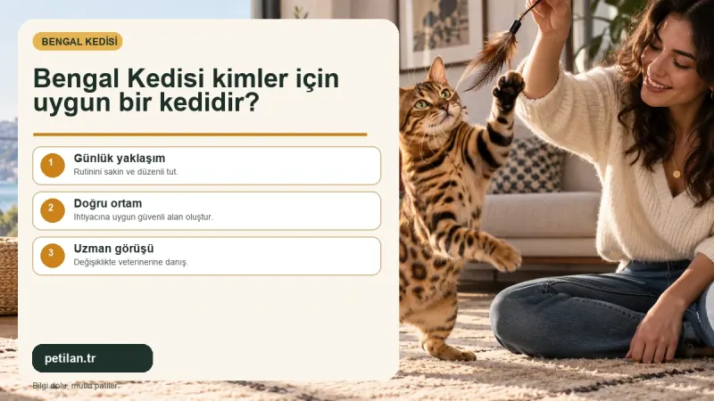 Bengal Kedisi kimler için uygun bir kedidir?