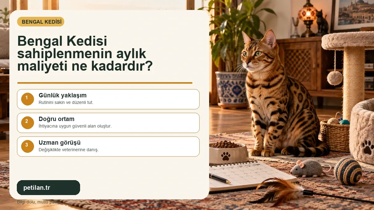 Bengal Kedisi sahiplenmenin aylık maliyeti ne kadardır?
