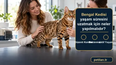 Bengal Kedisi yaşam süresini uzatmak için neler yapılmalıdır?