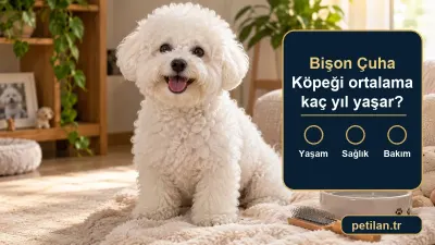 Bişon Çuha Köpeği ortalama kaç yıl yaşar?
