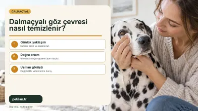 Dalmaçyalı göz çevresi nasıl temizlenir?