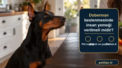 Doberman beslenmesinde insan yemeği verilmeli midir?