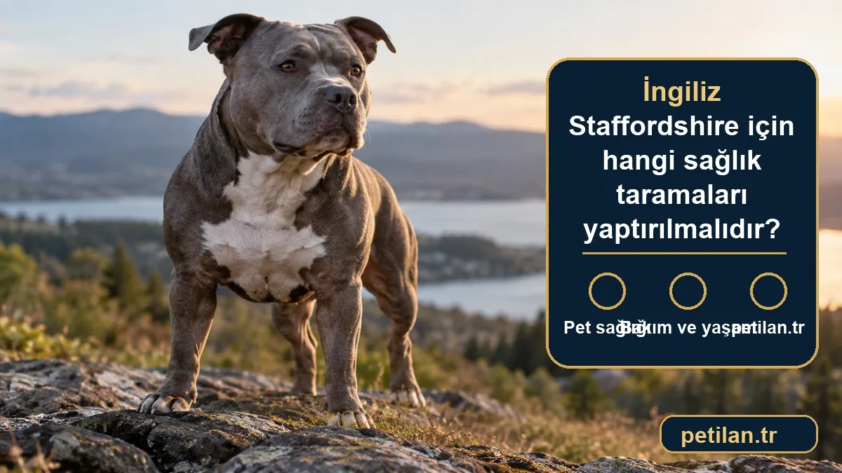 İngiliz Staffordshire için hangi sağlık taramaları yaptırılmalıdır?