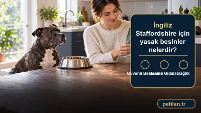 İngiliz Staffordshire için yasak besinler nelerdir?
