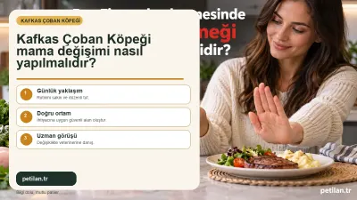 Kafkas Çoban Köpeği mama değişimi nasıl yapılmalıdır?