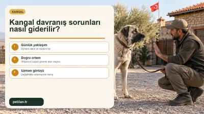 Kangal davranış sorunları nasıl giderilir?