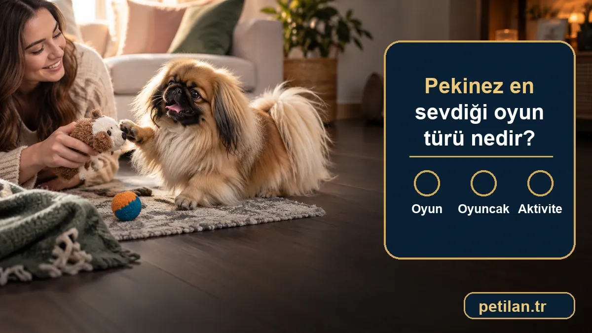 Pekinez en sevdiği oyun türü nedir?