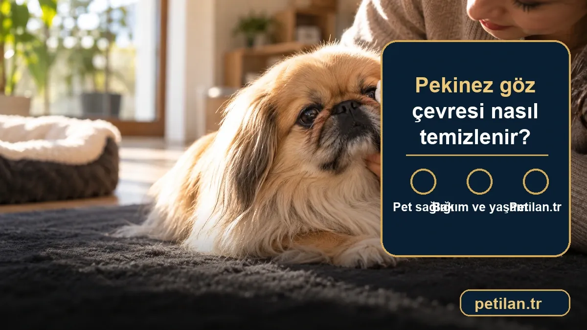 Pekinez göz çevresi nasıl temizlenir?