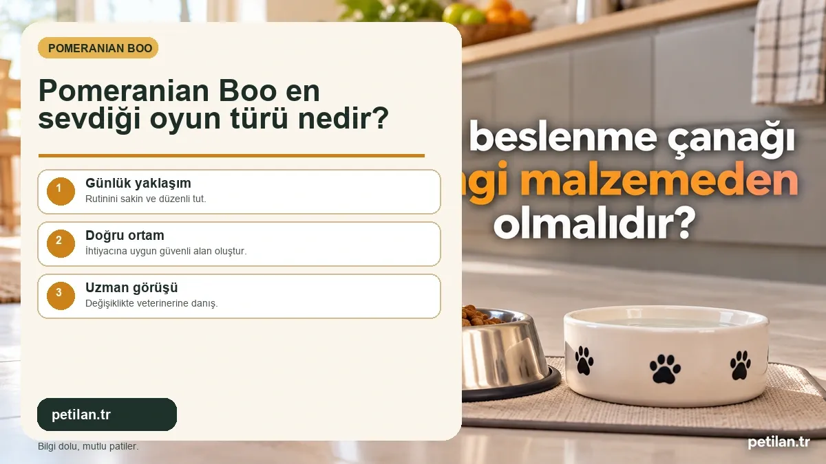 Pomeranian Boo en sevdiği oyun türü nedir?