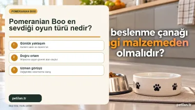 Pomeranian Boo en sevdiği oyun türü nedir?
