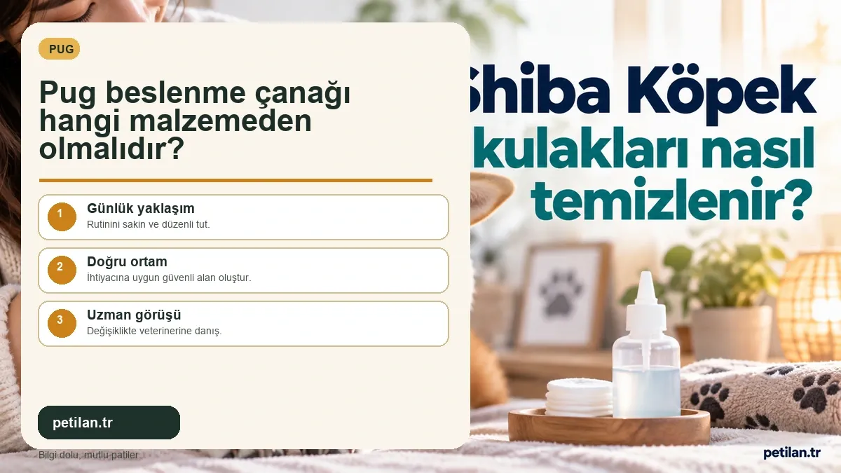 Pug beslenme çanağı hangi malzemeden olmalıdır?