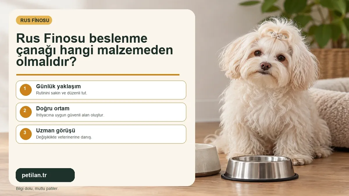 Rus Finosu beslenme çanağı hangi malzemeden olmalıdır?