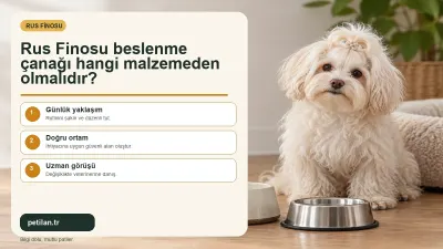 Rus Finosu beslenme çanağı hangi malzemeden olmalıdır?