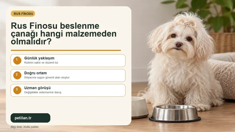 Rus Finosu beslenme çanağı hangi malzemeden olmalıdır?
