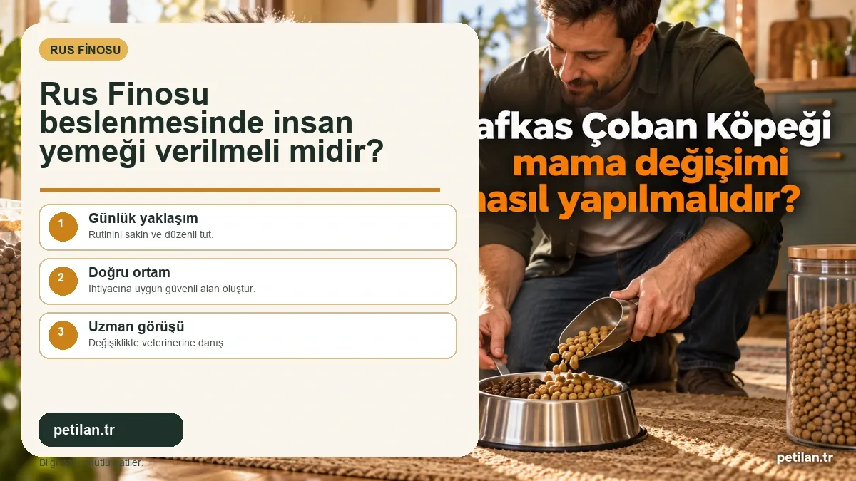 Rus Finosu beslenmesinde insan yemeği verilmeli midir?