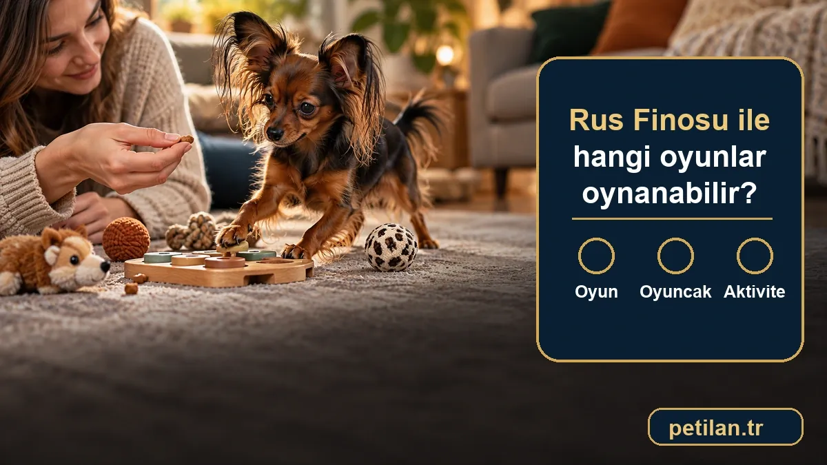 Rus Finosu ile hangi oyunlar oynanabilir?