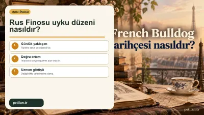 Rus Finosu uyku düzeni nasıldır?