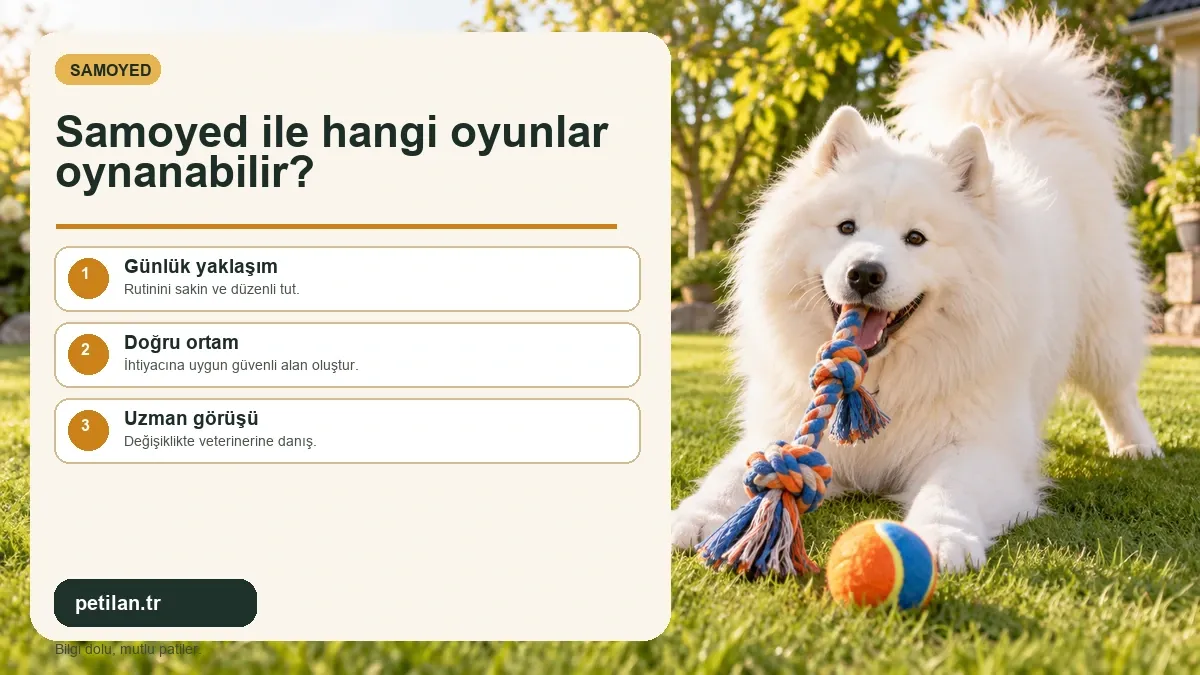 Samoyed ile hangi oyunlar oynanabilir?