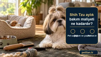 Shih Tzu aylık bakım maliyeti ne kadardır?