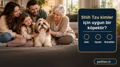 Shih Tzu kimler için uygun bir köpektir?