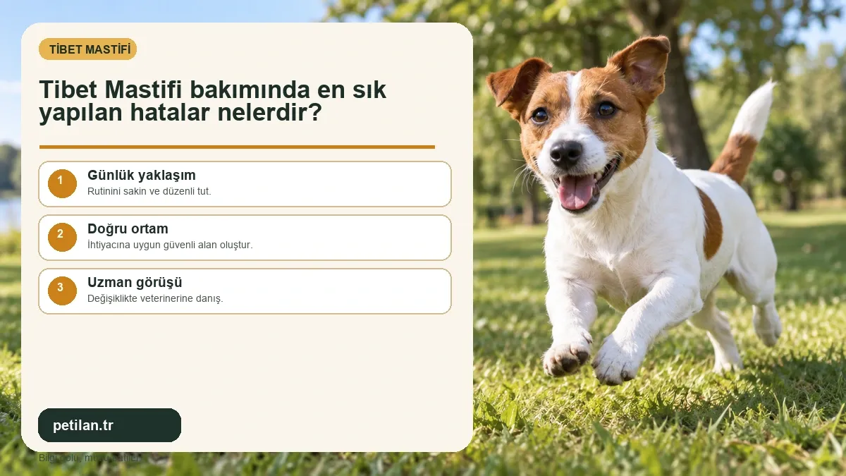 Tibet Mastifi bakımında en sık yapılan hatalar nelerdir?