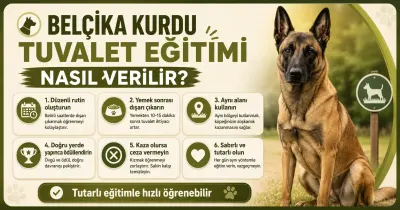 Belçika Kurdu tuvalet eğitimi nasıl verilir?