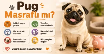 Pug masraflı mı?