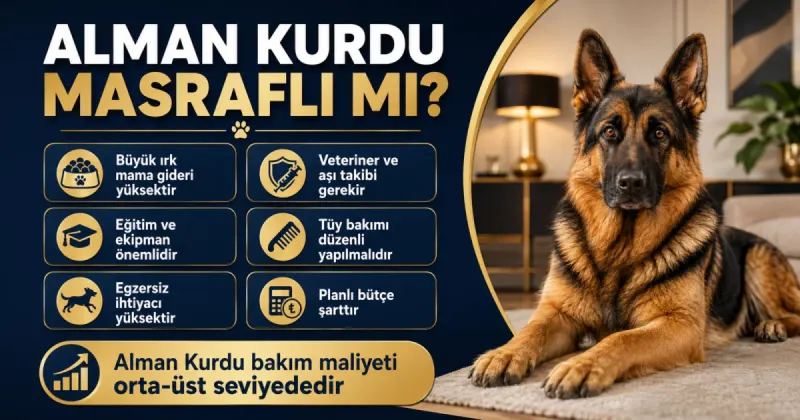 Alman Kurdu masraflı mı?