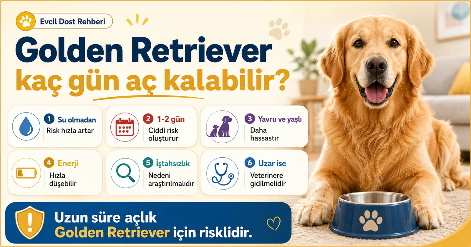 Golden Retriever kaç gün aç kalabilir?