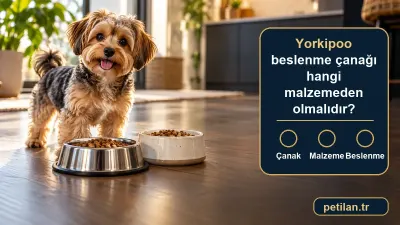 Yorkipoo beslenme çanağı hangi malzemeden olmalıdır?